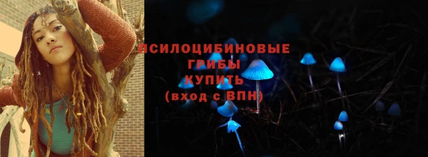 винт Богородск